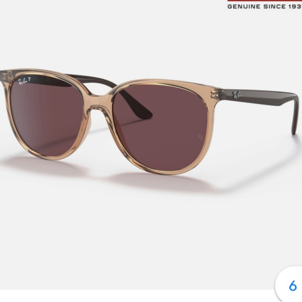 Ray-Ban Women's Sunglasses in Brown and Black
